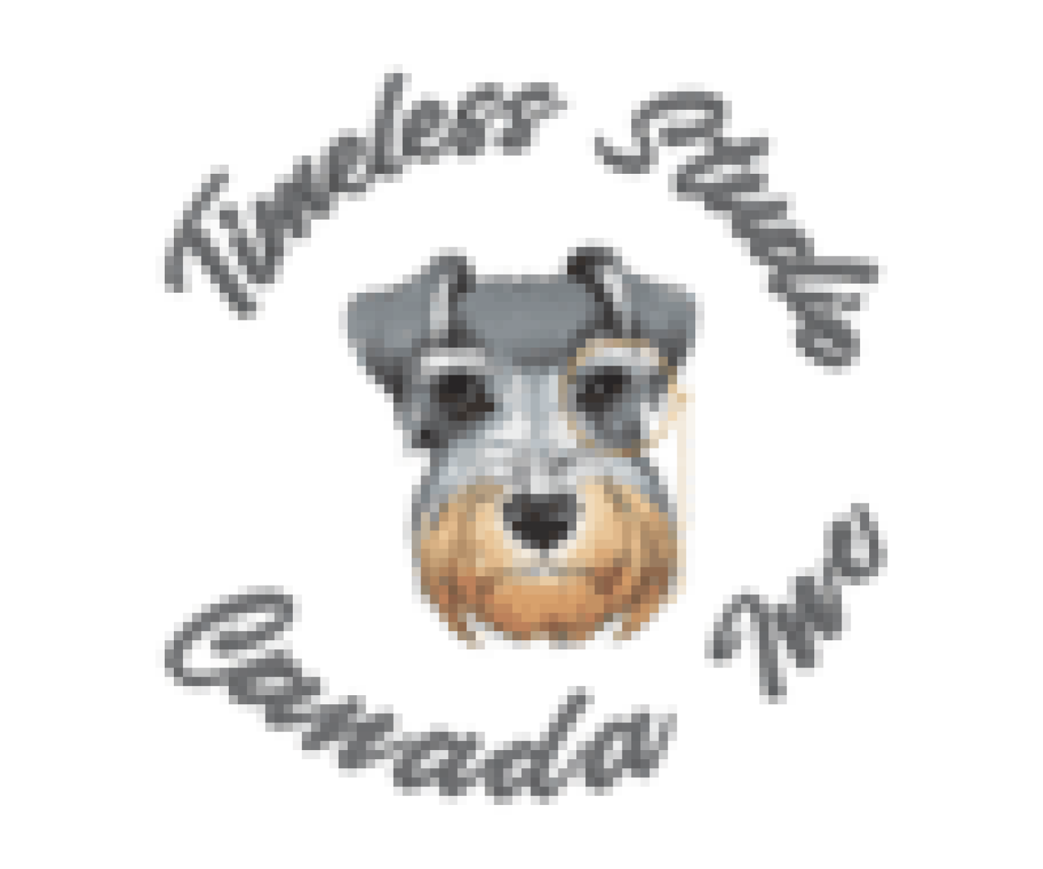 Website Design & Development Agency, Timeless Studio Canada